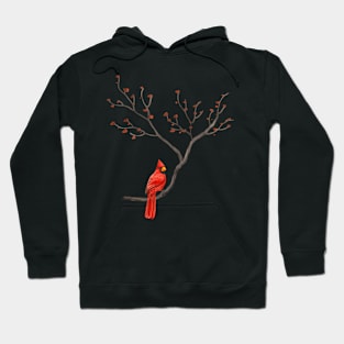 Red Cardinal Bird Birdwatching Birding Hoodie